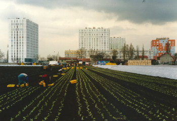 Ferme urbaine de St Denis dans les années 1980