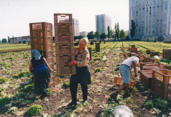 Ferme urbaine de St Denis dans les années 1980