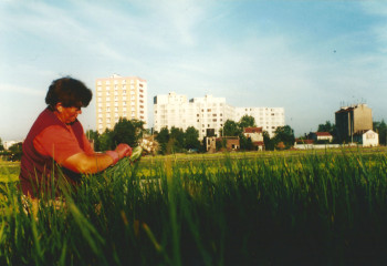 Ferme urbaine de St Denis dans les années 1980