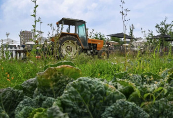 Atelier jardinage pour adultes