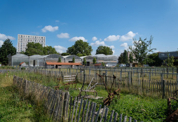Visite groupe à la Ferme de Gally de Saint-Denis