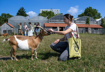 Visite groupe à la Ferme de Gally de Saint-Denis