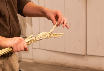 Atelier fabrication pain pour adultes à la ferme de gally de saint-denis 93