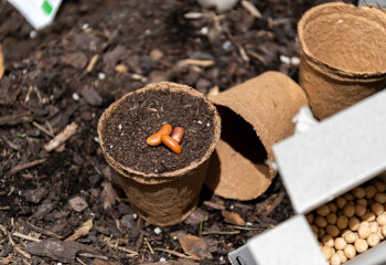 Atelier jardinage pour adultes