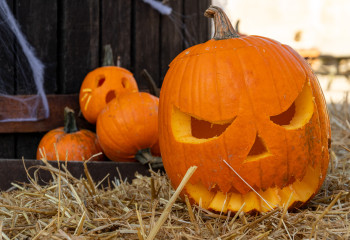 Fête de la citrouille aux fermes de gally pour halloween