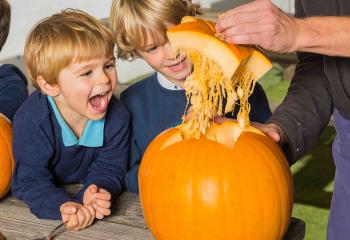 Nocturne halloween soirée ferme de gally