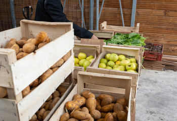 marché de la ferme de gally de saint-denis 93