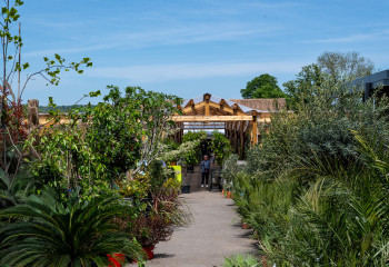 braderie à la pépinière de la jardinerie des fermes de gally