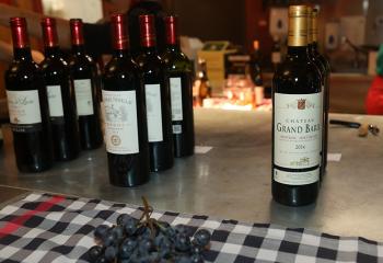 Dégustation vin œnologie