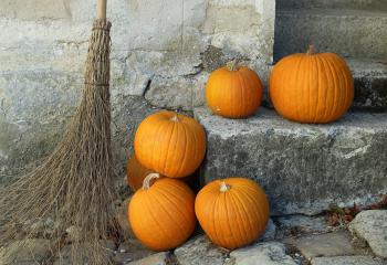 Nocturne halloween soirée ferme de gally