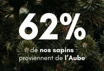 Nos sapins de Noel de l'Aube