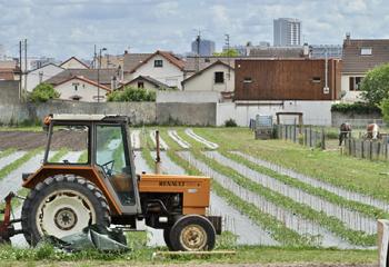 accueil entreprise à la ferme