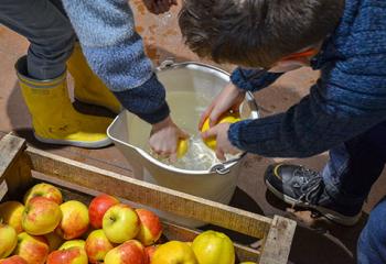 atelier jus de pommes