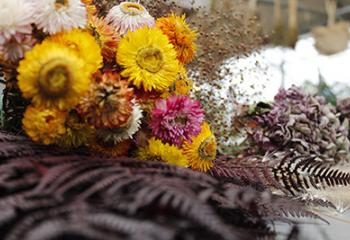 bouquets de fleurs séchées