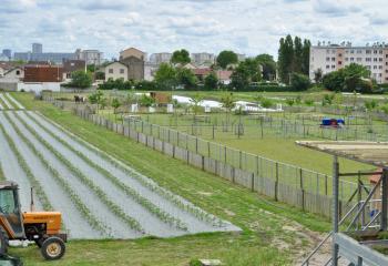 ferme ouverte saint denis