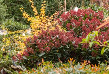 vendredi vert offres jardinage