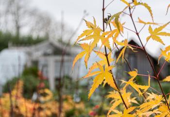 vendredi vert offres jardinage