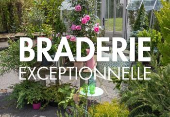 Braderie exceptionnelle jardinerie gally yvelines