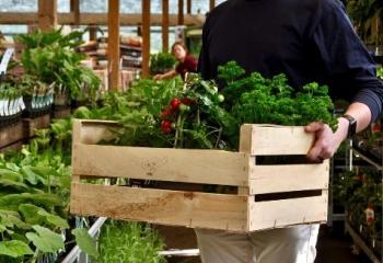 potager jardinerie yvelines