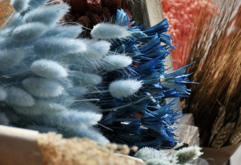 Atelier fleurs séchées aux Fermes de Gally