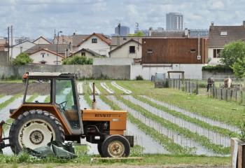 fete maraichage ferme urbaine saint denis