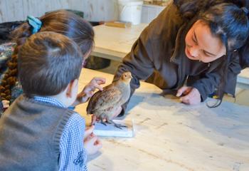 Atelier oiseaux fabrication nourrisseur oiseau Les Fermes de Gally DIY