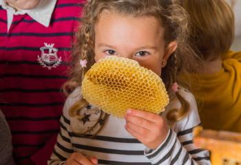 Atelier pour enfant abeille à la Ferme de Gally de Saint Cyr l'Ecole et de Sartrouville