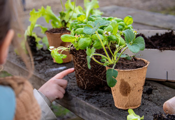 Atelier jardinage pour enfant à la Ferme 