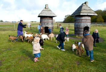 Matinée de fermier à la ferme de gally de saint cyr l'ecole