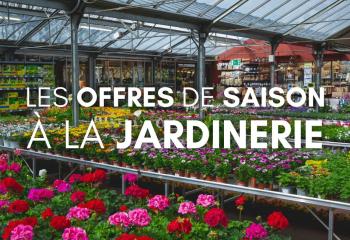 Offre Pépinière jardinerie Gally Saint Cyr L'ecole
