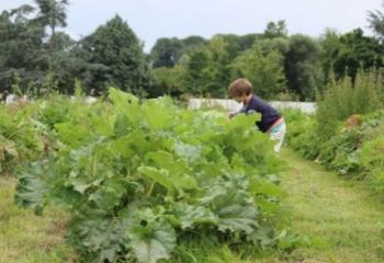 Tous au potager
