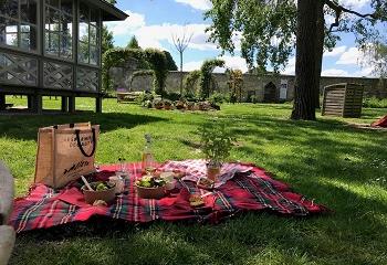 picnic chic