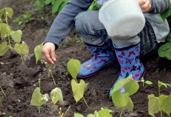 Atelier jardinage pour enfant à la Ferme urbaine de Saint Denis