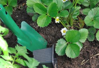 Atelier jardinage pour enfant à la Ferme urbaine de Saint Denis