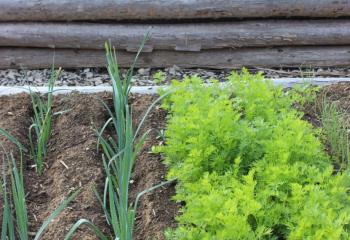 Atelier jardinage pour enfant à la Ferme de Gally