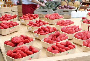 fraises locales françaises de saison