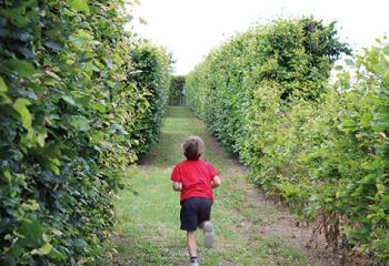 labyrinthe plein air gally yvelines
