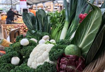 Les légumes primeurs à la Ferme de Gally