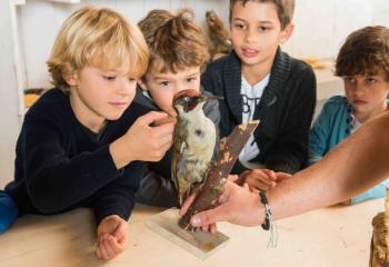 Atelier oiseaux fabrication nourrisseur oiseau Les Fermes de Gally DIY