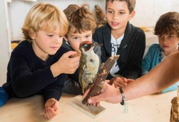 Atelier oiseaux fabrication nourrisseur oiseau Les Fermes de Gally DIY