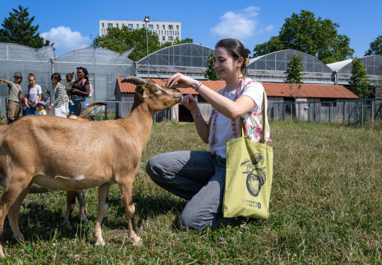 visite en famille à la ferme urbaine de saint-denis