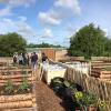 Les allées de bacs potagers