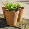 Atelier jardinage pour enfant à la ferme de gally