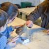 Atelier oiseaux pour enfant à la ferme de gally