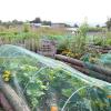 Les potagers de Gally en location