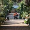 Pépinière de la jardinerie