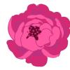Pivoine Crousse rouge