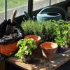 atelier jardinage enfant activité nature centre de loisirs