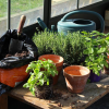 atelier jardinage enfant activité nature centre de loisirs