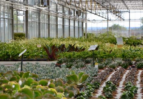 La Ferme Horticole Théart